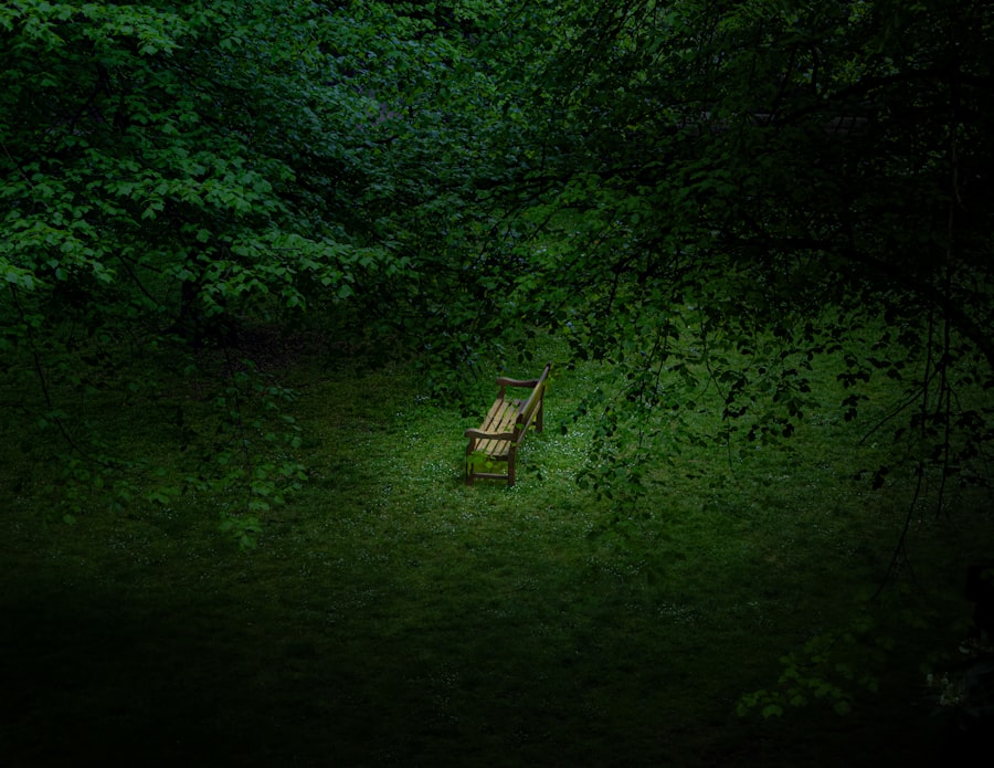 Photo Tranquil Spaces